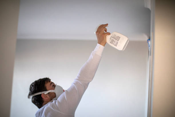 Best Certified Mold Removal  in Pinardville, NH