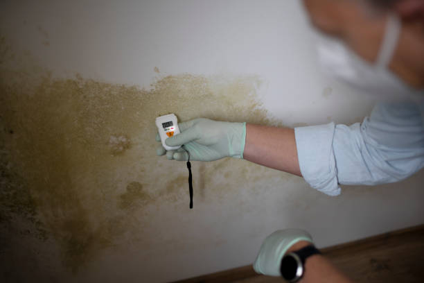 Water Damage Restoration in Pinardville, NH